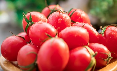 好用的肥料生物有機(jī)肥菌肥，怎么使用效果好？