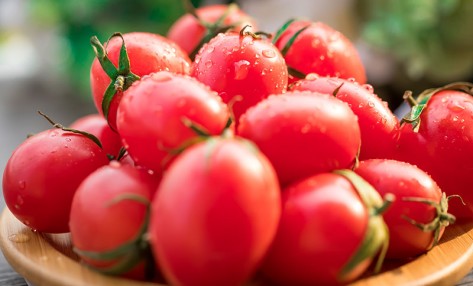 好用的肥料生物有機(jī)肥菌肥，怎么使用效果好？