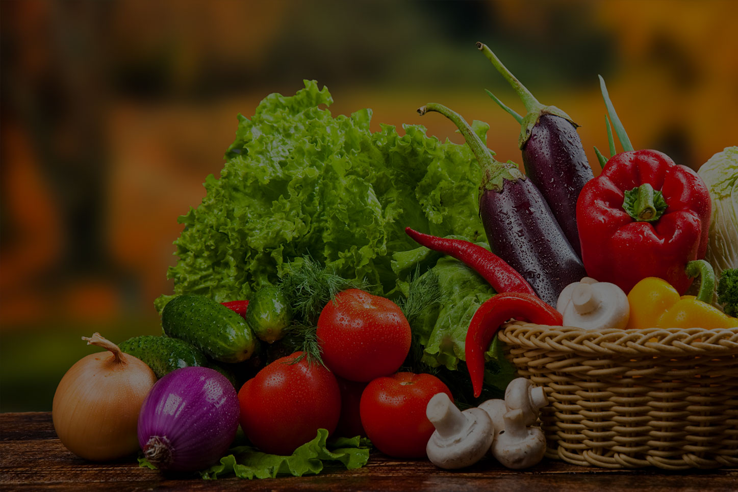 海藻、魚蛋白系列